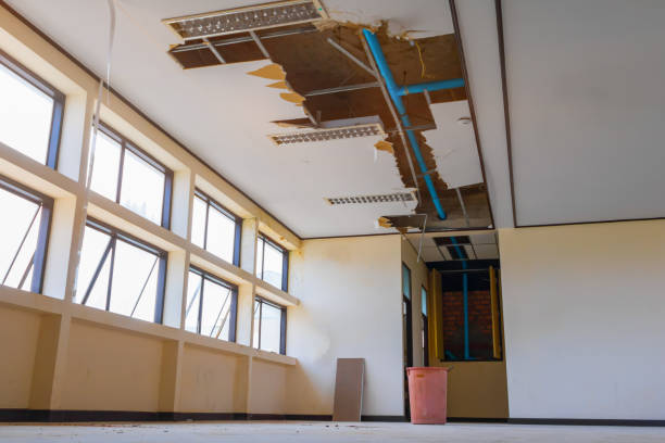Best Mold removal after water damage  in Panama City, FL