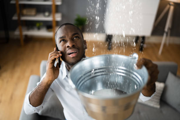 Water damage restoration experts in FL