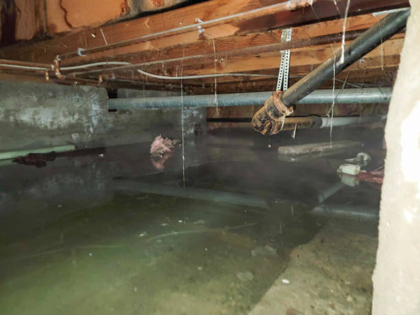 Best Commercial water damage restoration  in Panama City, FL