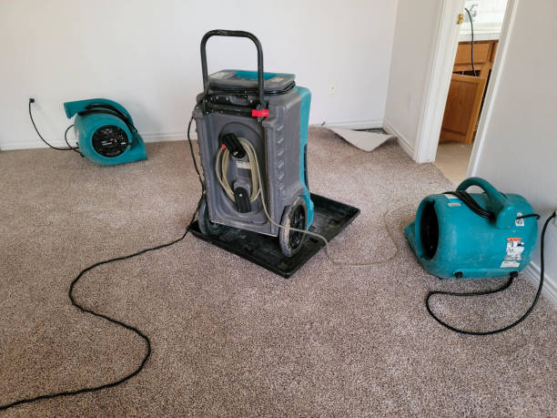 Trusted FL Water damage restoration Experts