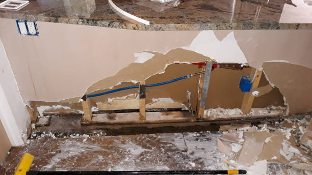 Best Local water damage restoration  in Panama City, FL