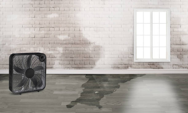 Sewage cleanup and water damage restoration in FL