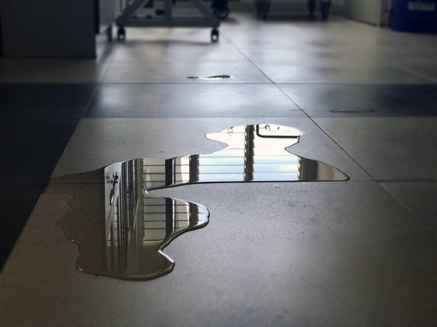 Best 24-hour water damage restoration  in Panama City, FL
