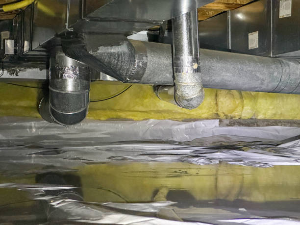 Best Water damage repair service  in Panama City, FL