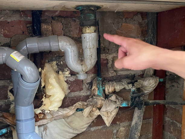 Best Water damage restoration near me  in Panama City, FL