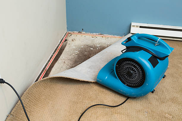 Best 24/7 water damage repair  in Panama City, FL